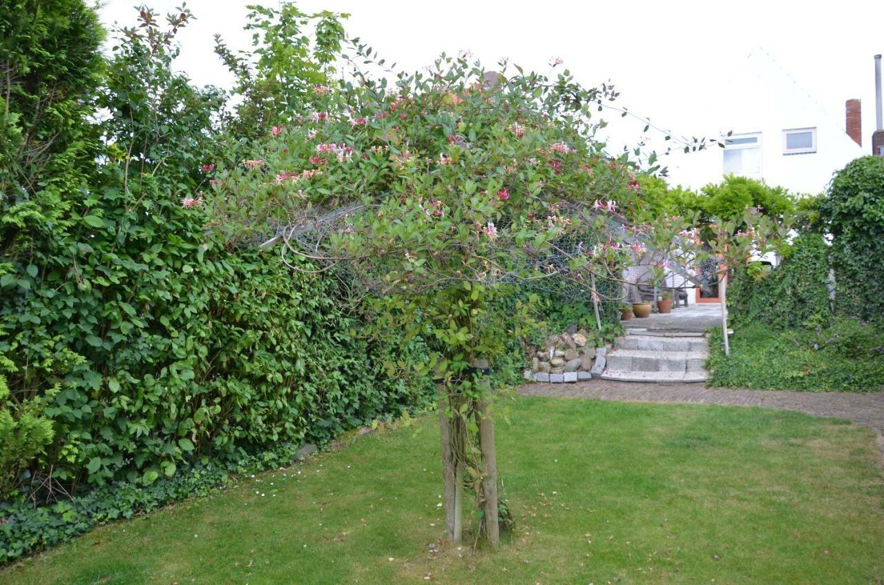 Home Sweet Home Breskens Exterior foto